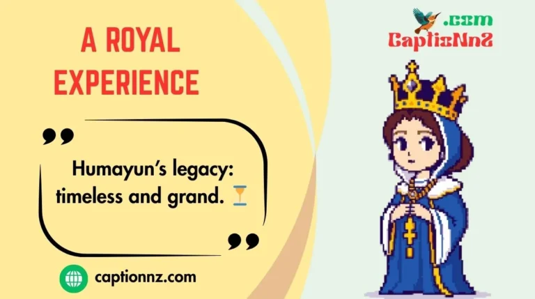A Royal Experience
