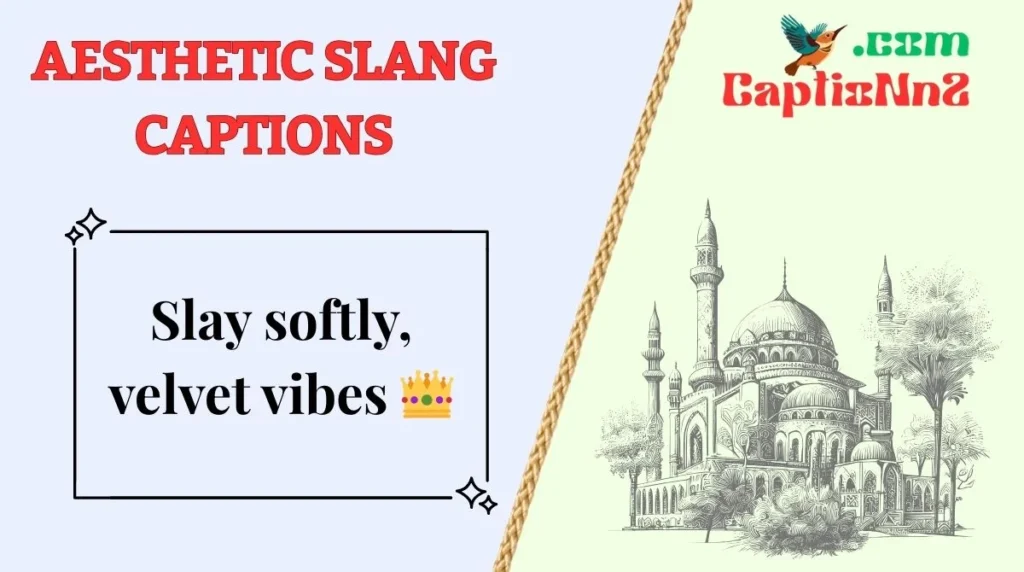 aesthetic slang captions