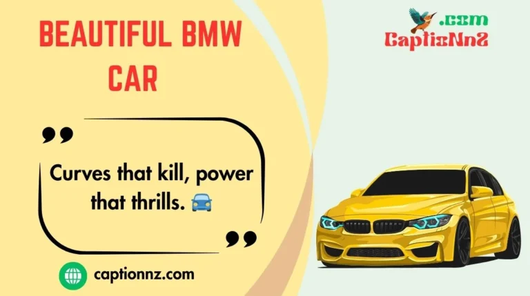 Beautiful BMW Car