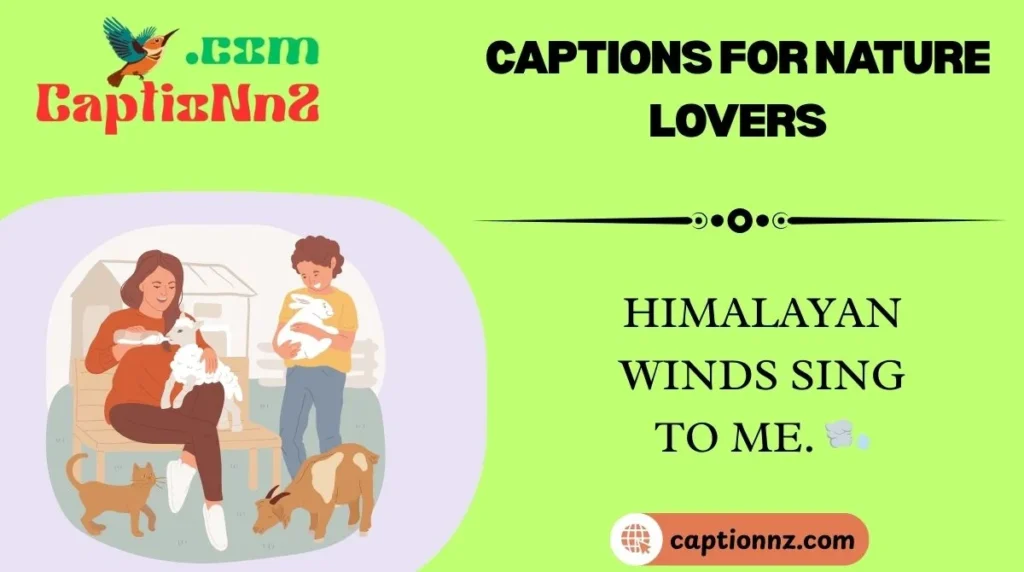 Captions For Nature Lovers