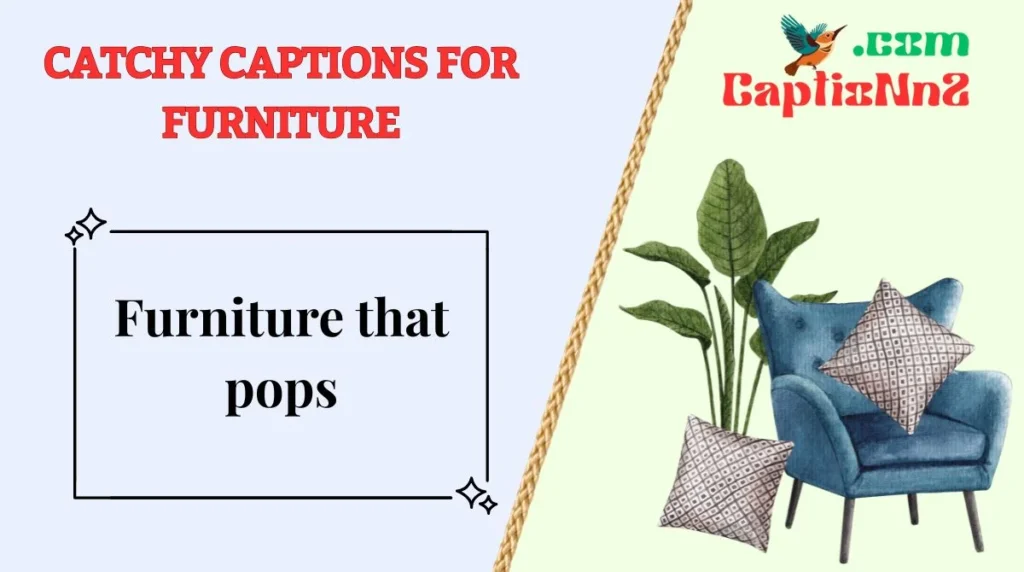 Catchy Captions for Furniture