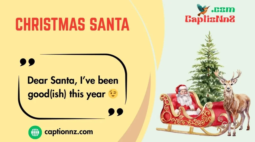 Christmas Santa