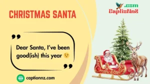 Christmas Santa