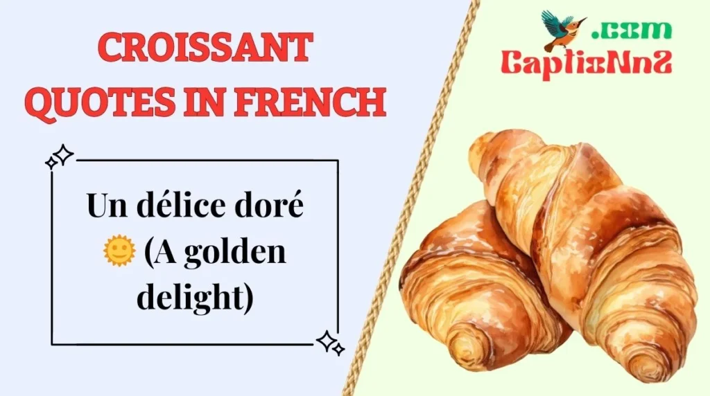 Croissant Quotes in French