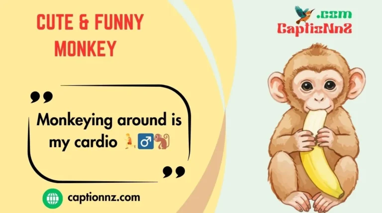 Cute & Funny Monkey