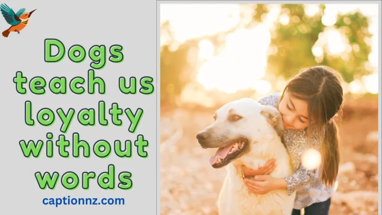 dog quotes for instagram