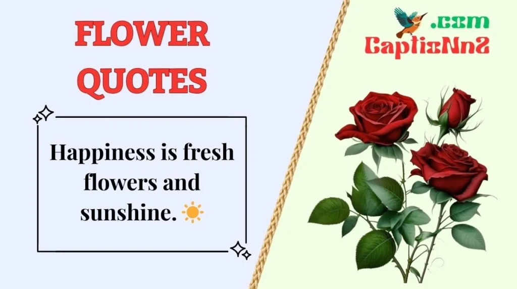 Flower Quotes