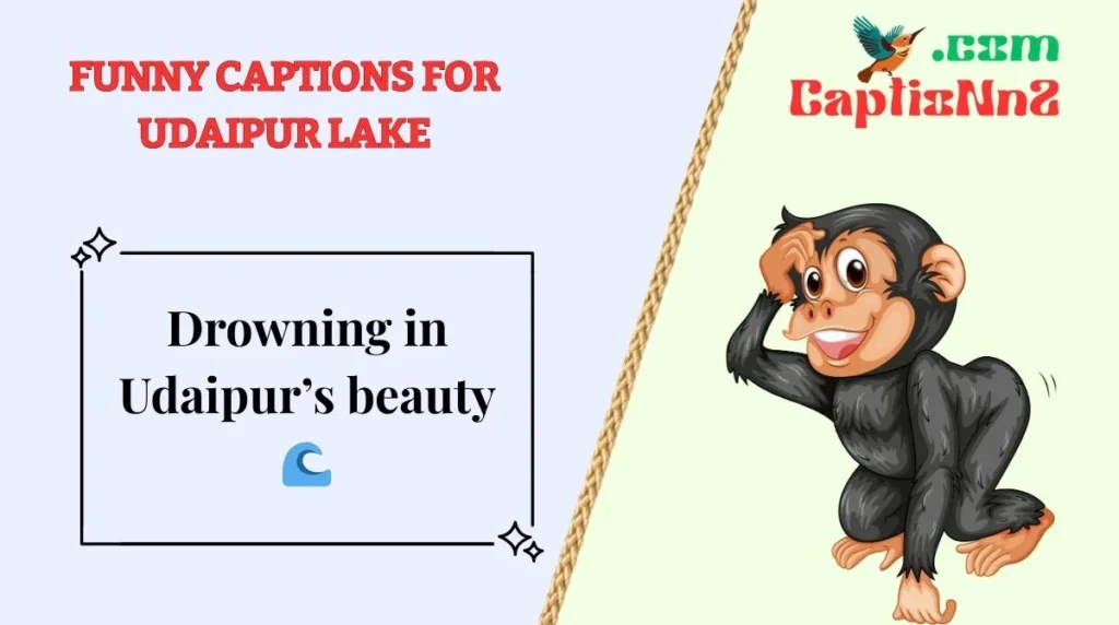 Funny Captions for Udaipur Lake