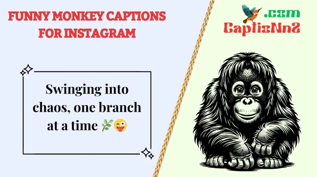 Funny Monkey Captions for Instagram