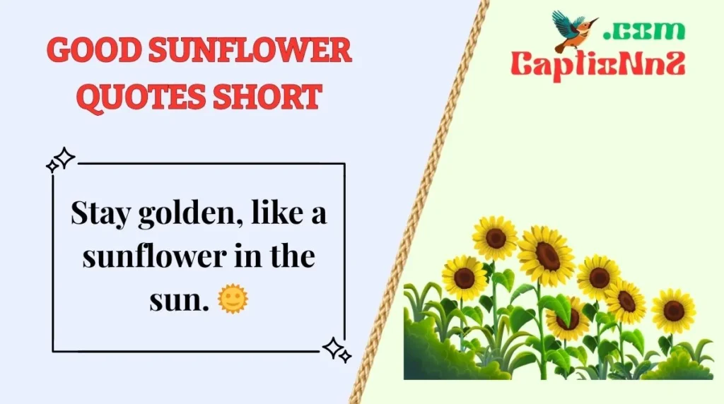Good Sunflower Quotes Short