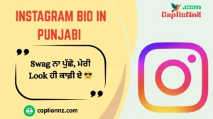 Instagram Bio in Punjabi