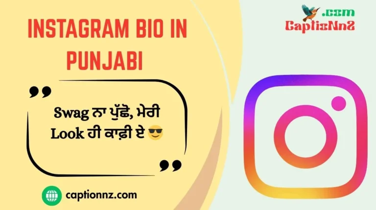 Instagram Bio in Punjabi