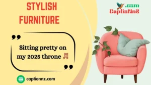 Stylish Furniture