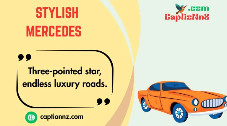 Stylish Mercedes