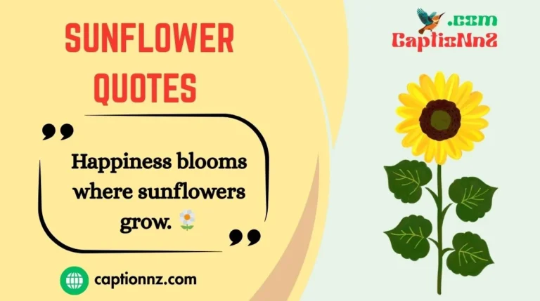 Sunflower Quotes