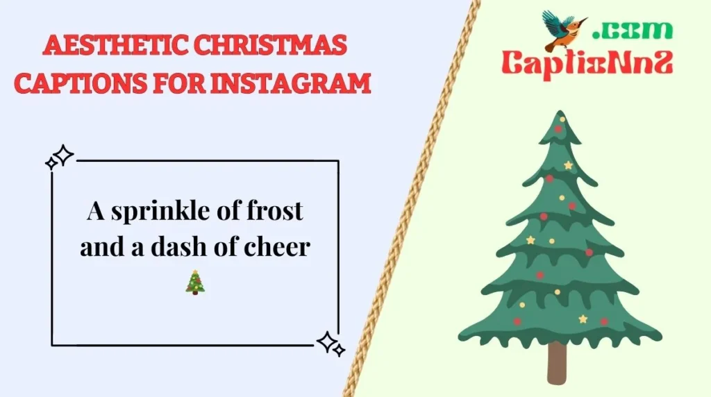 Aesthetic Christmas Instagram Captions for Your Holiday Posts 2026