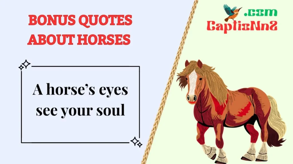Bonus Quotes about Horses