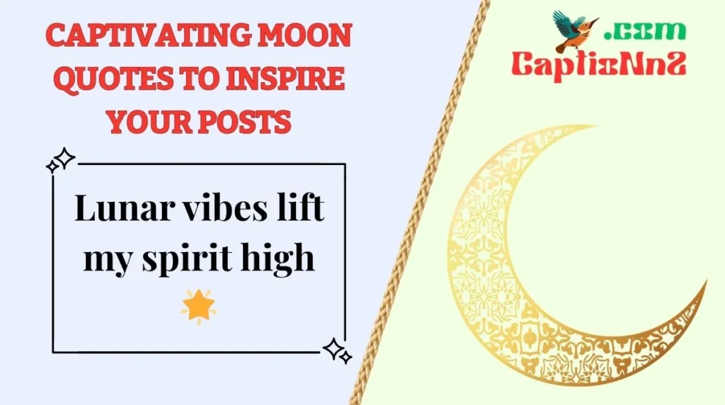 Captivating Moon Quotes to Inspire Your Posts