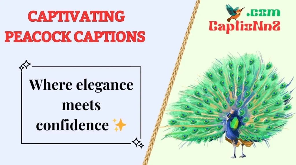 Captivating Peacock Captions 