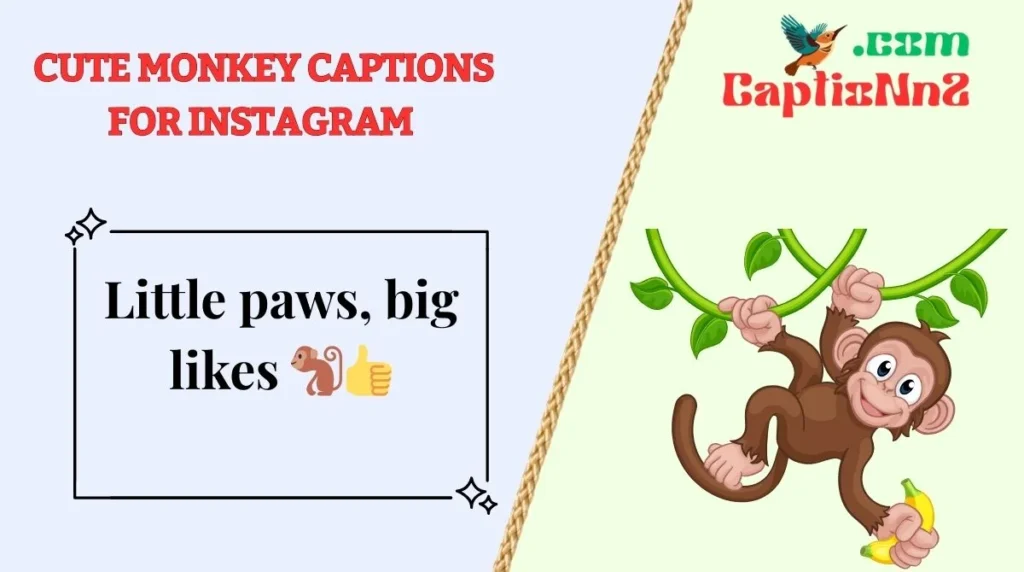 Cute Monkey Captions for Instagram