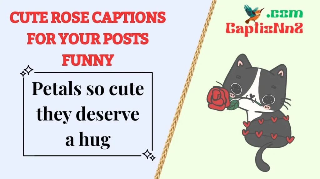 Cute Rose Captions for Your Posts Funny