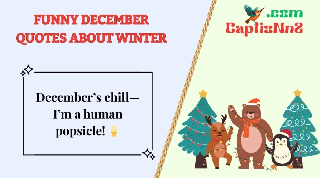 Funny December Quotes About Winter