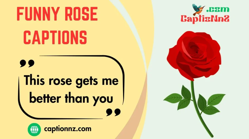 Funny Rose Captions 