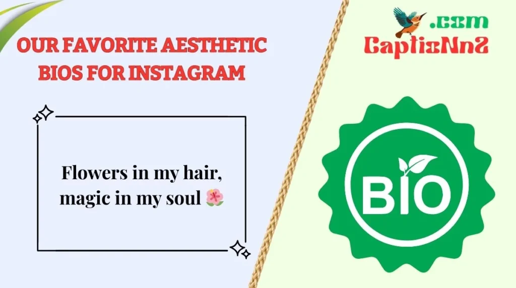 Best Aesthetic Bios🌷 for Instagram to Elevate Your Profile