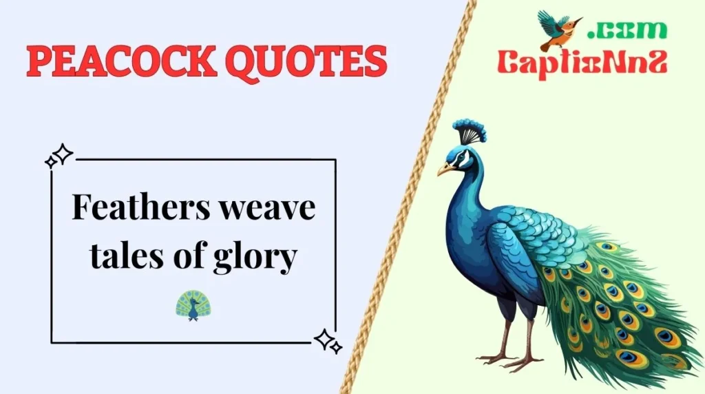Peacock Quotes