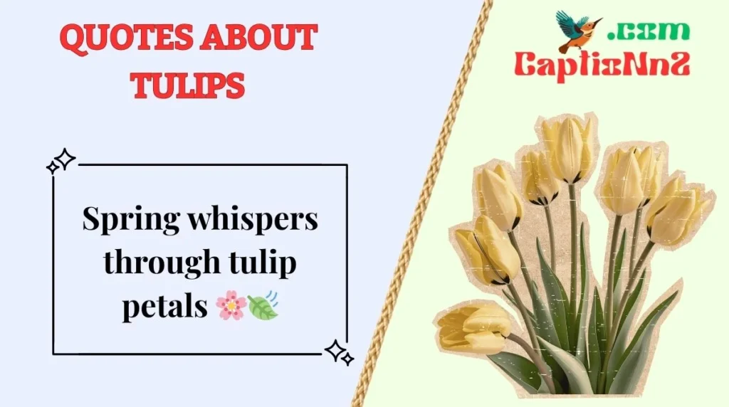 Quotes About Tulips
