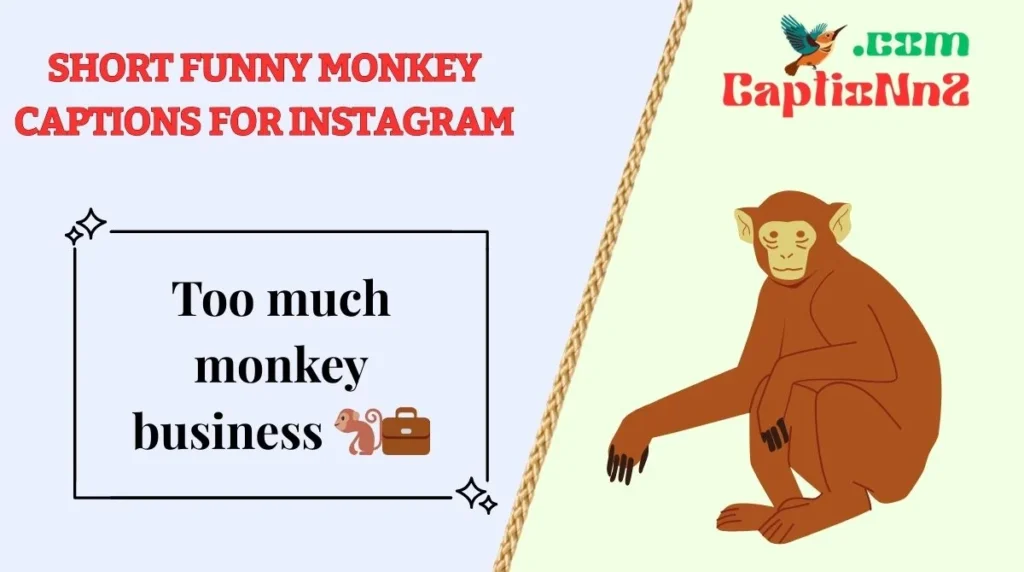 Short Funny Monkey Captions for Instagram
