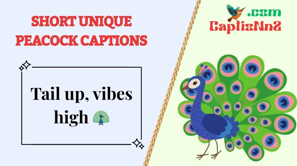 Unique Beautiful Peacock Captions For Instagram in 2026