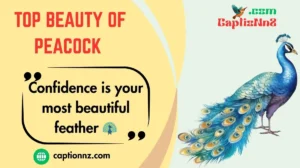 Top Beauty of Peacock
