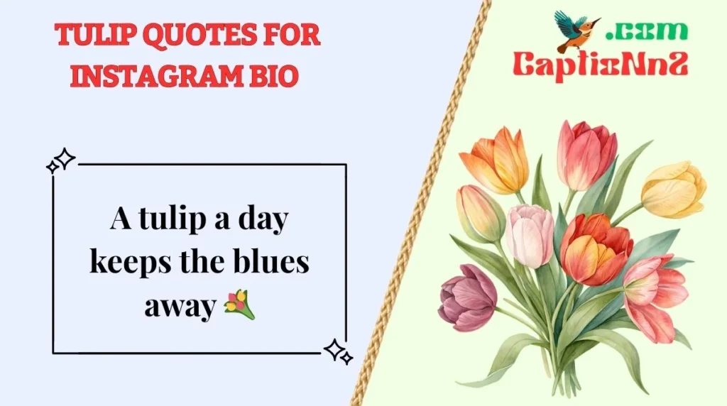 Tulip Quotes for Instagram Bio