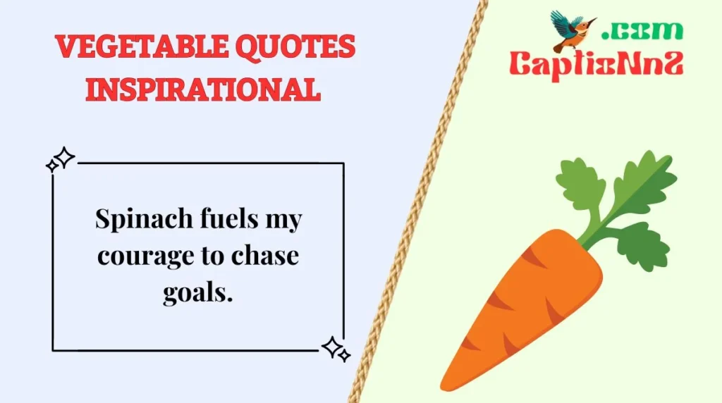 Best Vegetable Captions for instagram