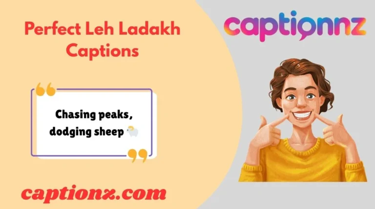 Perfect Leh Ladakh Captions