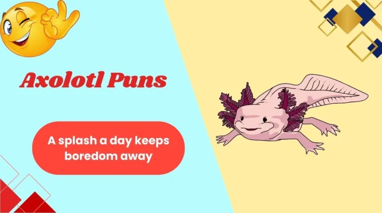 Axolotl Puns