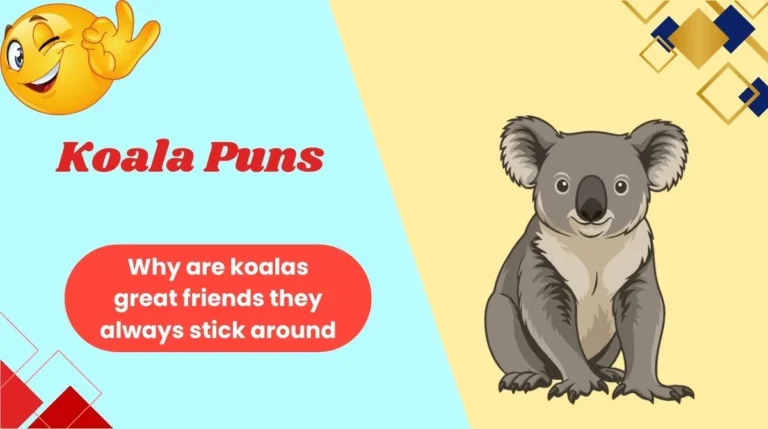 Koala Puns
