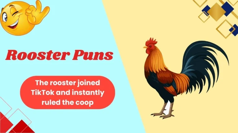 Rooster Puns